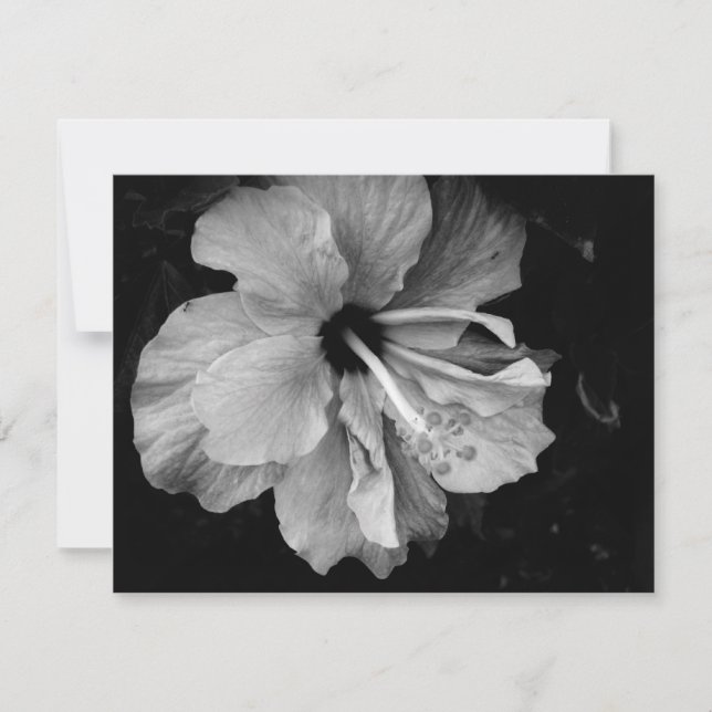 Carte Hibiscus (Devant)