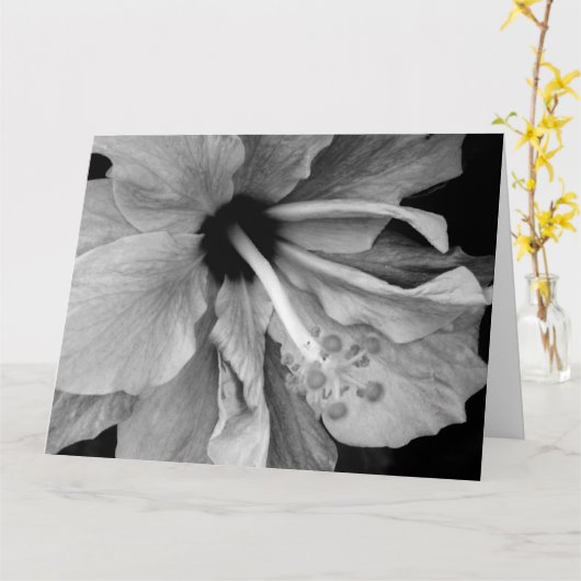 Carte Hibiscus (Fleur jaune)