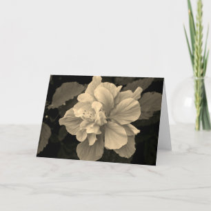 Carte Hibiscus antique