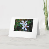 Carte Hibiscus blanc pour Mariage hawaïen (Dos)