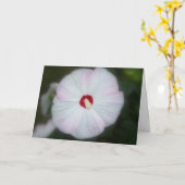 Carte Hibiscus Blush (Fleur jaune)