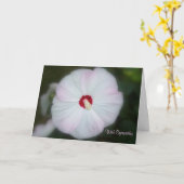 Carte Hibiscus Blush (Fleur jaune)