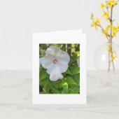 Carte Hibiscus de Rose-Mallow (Fleur jaune)