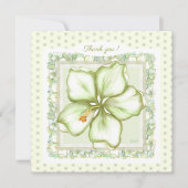 Carte Hibiscus & dentelle BLANC (Devant)