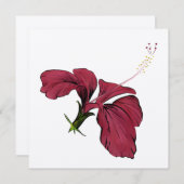 Carte Hibiscus Flower Note (Devant / Derrière)