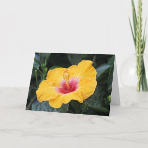 Carte hibiscus jaune