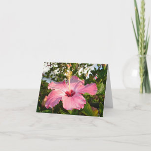 Carte Hibiscus - L