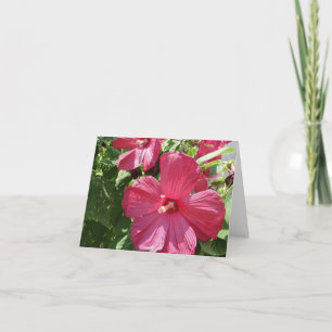 Carte Hibiscus Rose Chaud, Ami