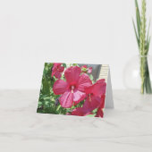 Carte Hibiscus rose chaud, Sympathie (Dos)