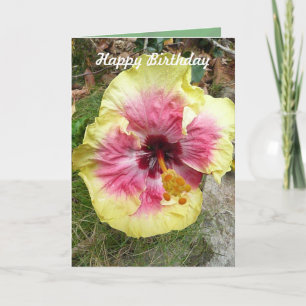 Carte Hibiscus rose et jaune Fleur tropicale Anniversair