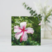 Carte Hibiscus rose Fleur tropicale Salutation d'anniver (Debout devant)
