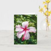 Carte Hibiscus rose Fleur tropicale Salutation d'anniver (Fleur jaune)