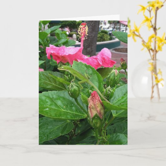 Carte Hibiscus rose Tropical Fleur Camouflée Lizard (Fleur jaune)