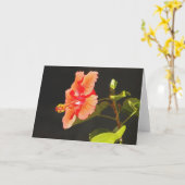 Carte Hibiscus rouge incarné, Fleur de Brenda (Fleur jaune)