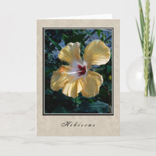 Carte Hibiscus - Série Florale