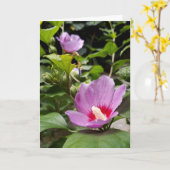 Carte Hibiscus syriacus Aphrodite Shrub, Fleur rose (Fleur jaune)