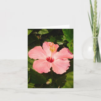 Carte Hibiscus - V