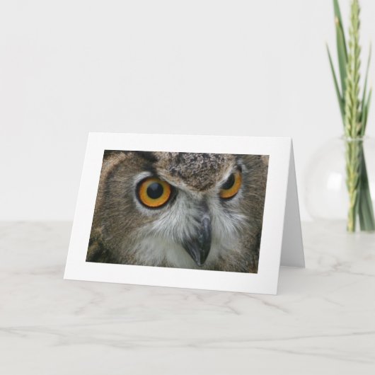 Carte Hibou (Devant)