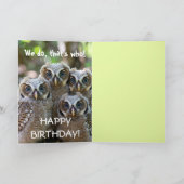 Carte Hibou (Intérieur)