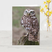 Carte Hibou (Fleur jaune)