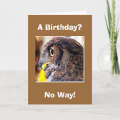 Carte hibou 2, Anniversaire ?, Pas question ! (Devant)