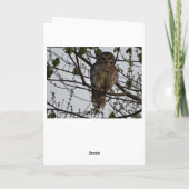 Carte Hibou, Anniversaire (Dos)