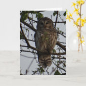 Carte Hibou, Anniversaire (Fleur jaune)