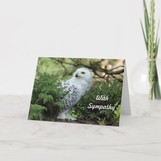 Carte Hibou blanc faune Photo Sympathie (Devant)