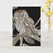 Carte Hibou de cri strident (Fleur jaune)