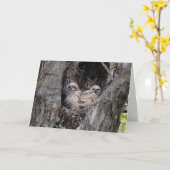 Carte Hibou et owley (Fleur jaune)