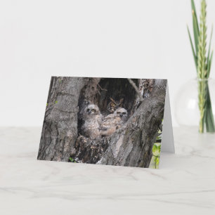Carte Hibou et owley