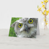 Carte Hibou Grand-À cornes (Fleur jaune)