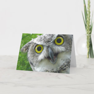 Carte Hibou Grand-À cornes