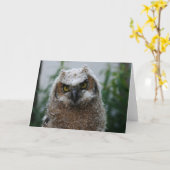 Carte Hibou Grand-À cornes de bébé (Fleur jaune)