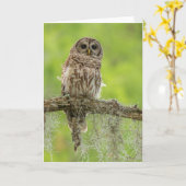 Carte Hibou rayé sur branche d'arbre (Fleur jaune)
