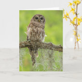 Carte Hibou rayé sur branche d'arbre (Fleur jaune)