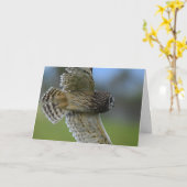 Carte Hibou volant plus de (Fleur jaune)