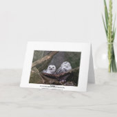 Carte Hiboux mignons (Dos)