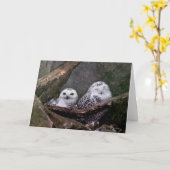 Carte Hiboux mignons (Fleur jaune)