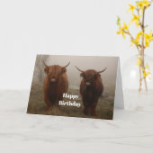 Carte Highland Cattle Fog Photo Anniversaire (Fleur jaune)