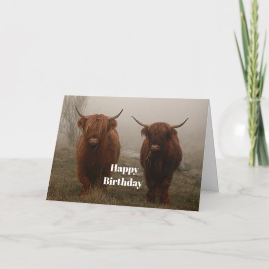 Carte Highland Cattle Fog Photo Anniversaire (Devant)
