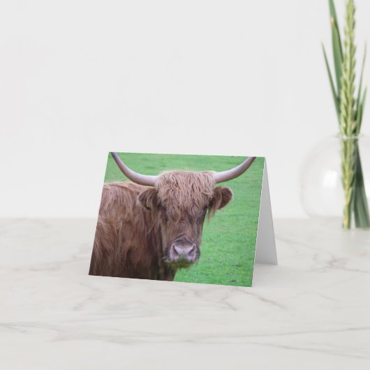 Carte Highland Cow (Devant)