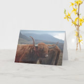 Carte Highland Cow (Fleur jaune)