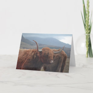 Carte Highland Cow