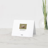 Carte Highland Cow Greeting card (Dos)