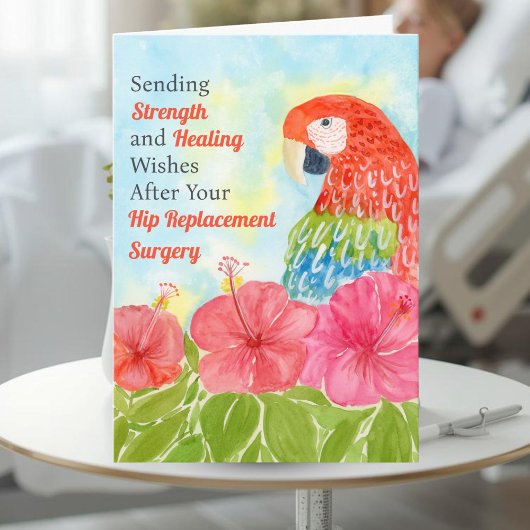 Carte Hip Surgery Healing Scarlet Macaws, Hibiscus