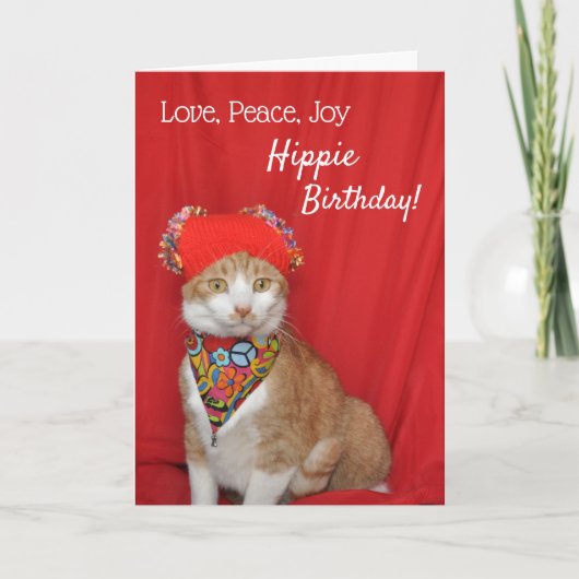 Carte Hippday d'anniversaire de chat orange et bla (Devant)