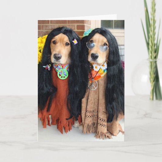 Carte Hippie Golden Retriever Halloween (Devant)