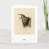 Carte Hirondelle de grange des oiseaux d'Amérique d'Audu (Dos)