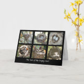 Carte Histoire du nid vide (Fleur jaune)